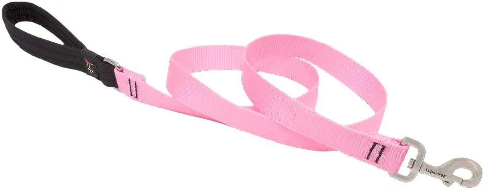 1in Pink 4ft Leash