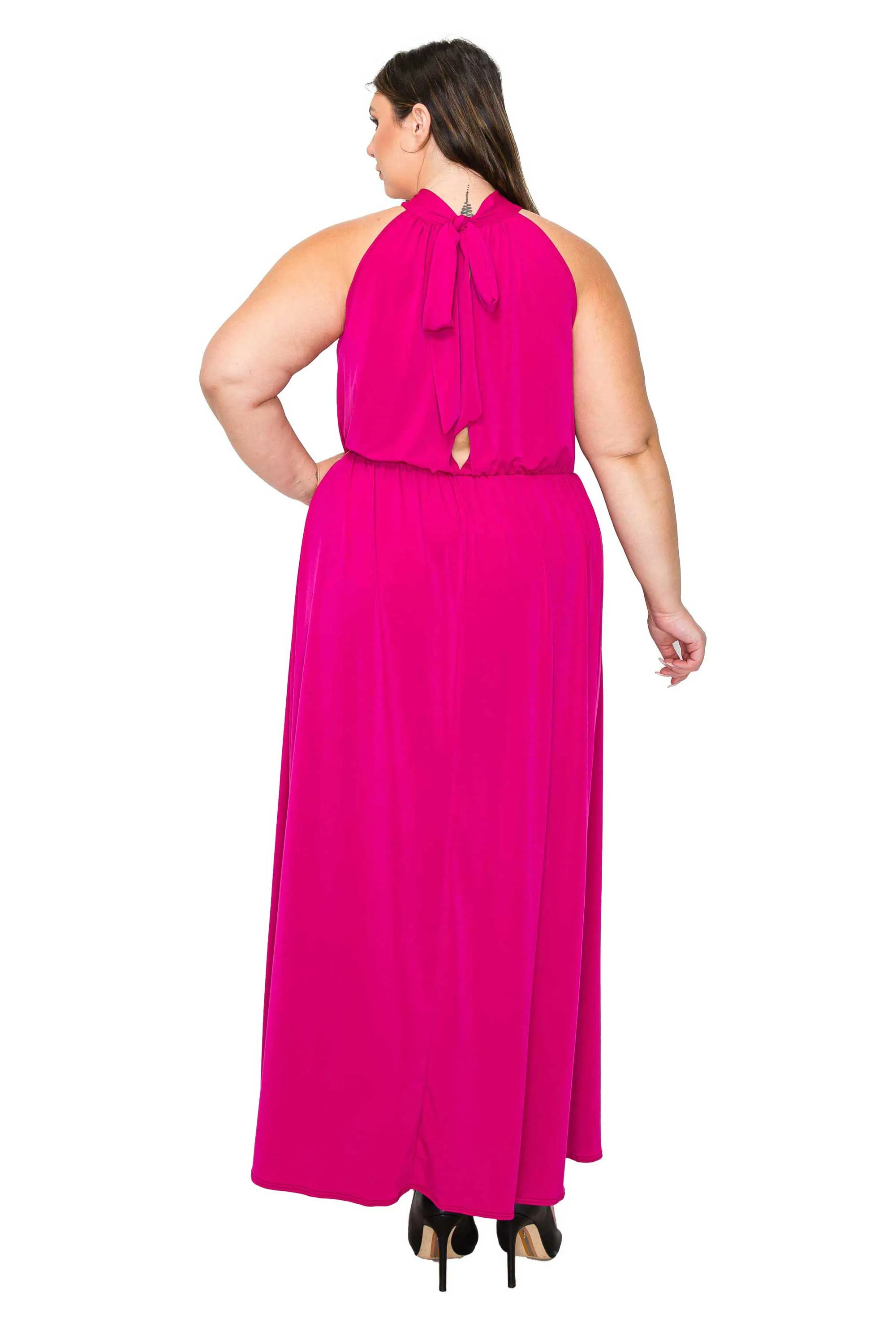 Alexis Halter Neck Maxi Dress