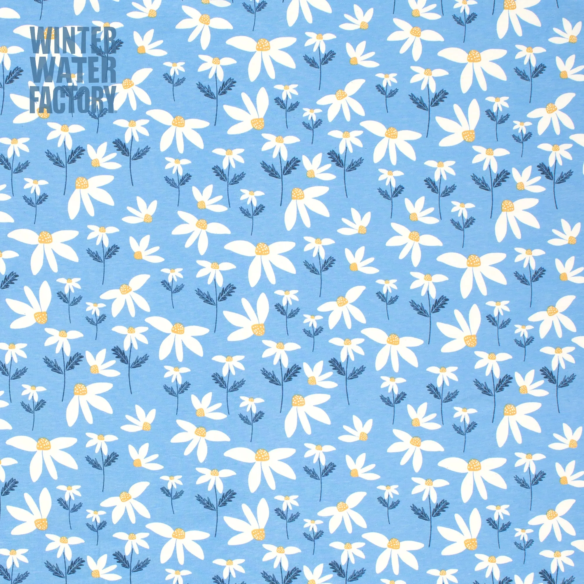 Baby Leggings - Daisies Blue