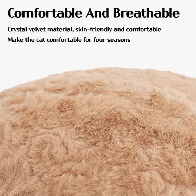 Beary Cute Pet Bed