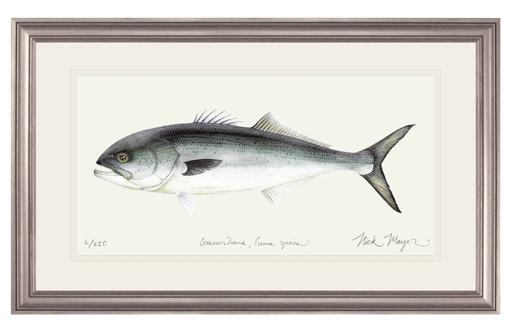 Bluefish Print