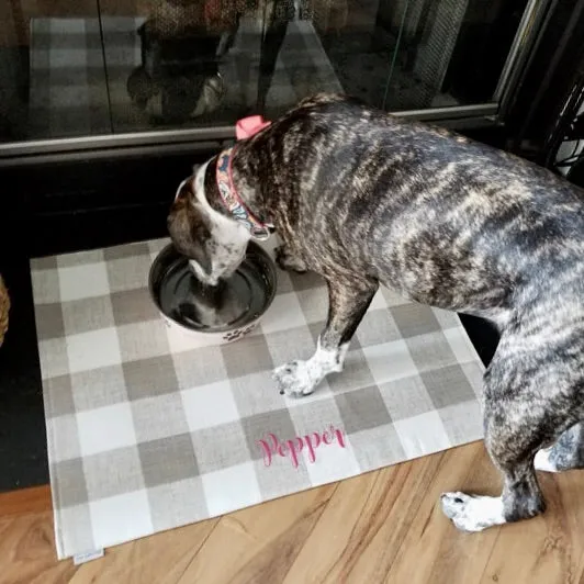 Buffalo Plaid Dog Bowl Placemats with Personalization