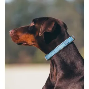 Equestrian Stockholm Leather Dog Collar Stone Blue