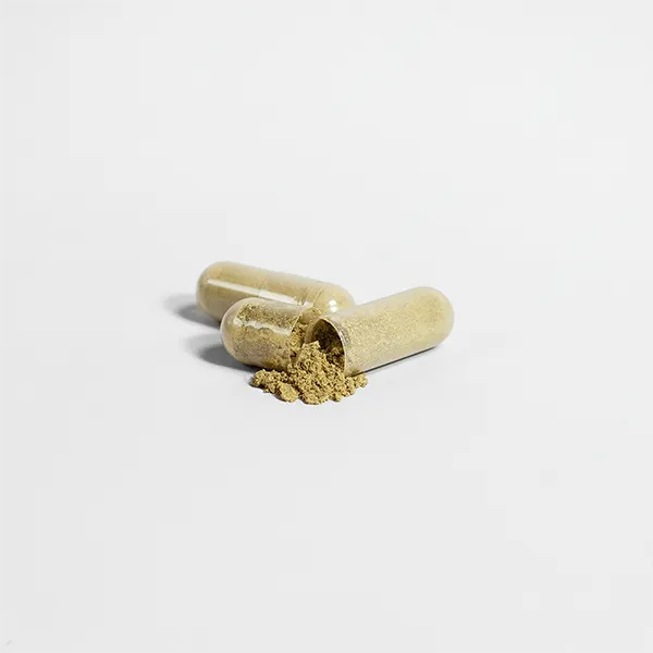 Ginkgo Biloba   Ginseng