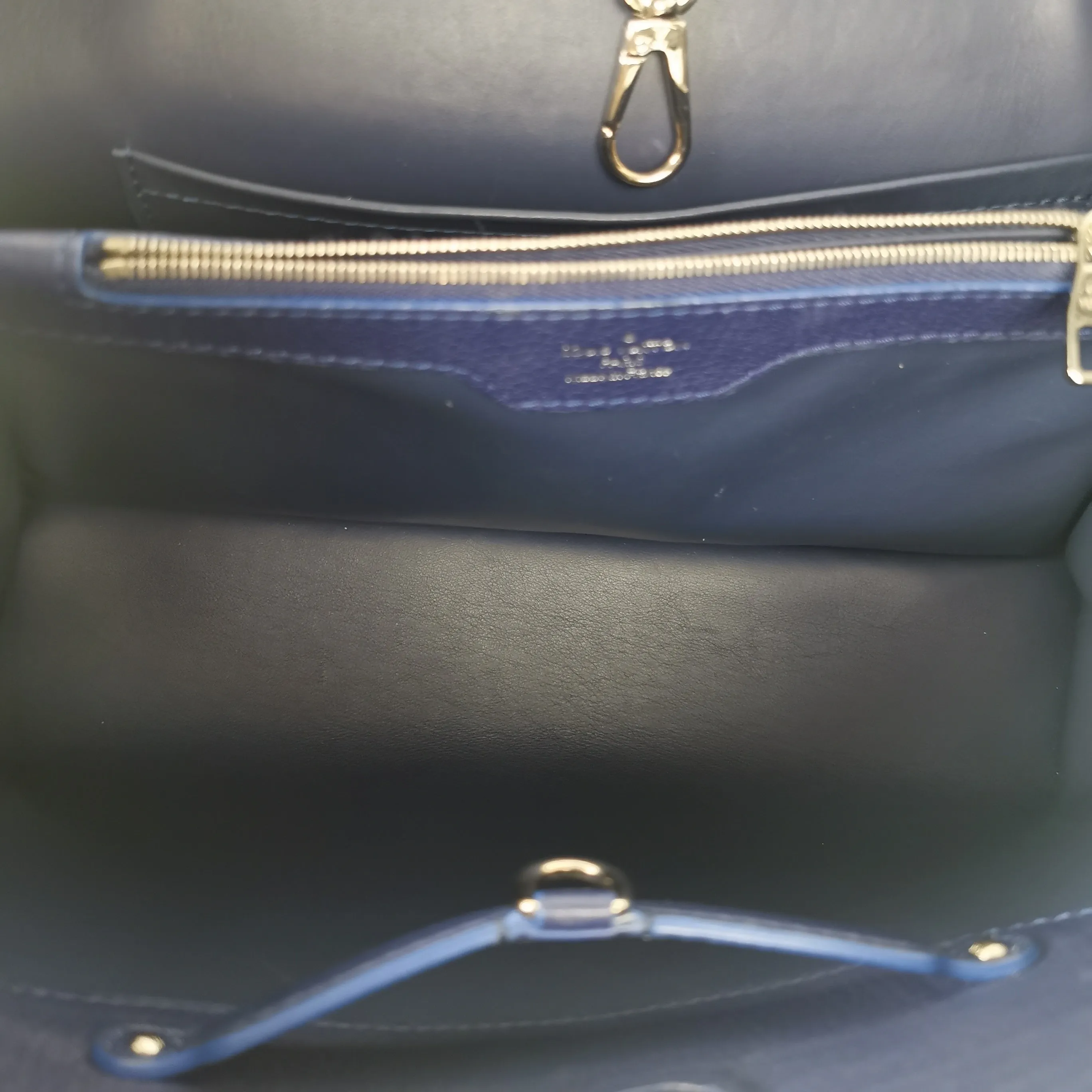 Louis Vuitton Capucines mm Exotic Blue Taurillon