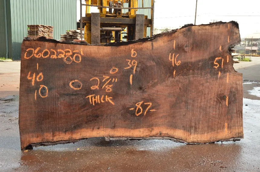 Oregon Black Walnut Slab 060222-01