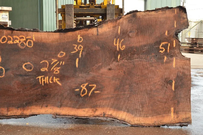 Oregon Black Walnut Slab 060222-01